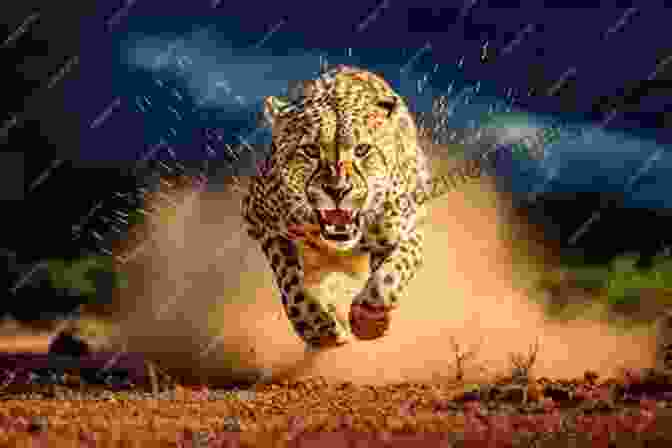 A Cheetah In Full Stride, Its Lithe Body A Blur Of Speed And Power Cats Photo Paradise For Cat Lovers: 150+ Beautiful Pictures Of Domestic And Wild Cats Of All Sizes From Many Parts Of The World For All Ages Children Of All Ages (Pictures Photo Albums)