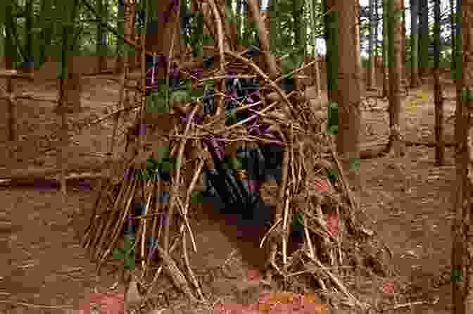 A Group Of Children Building A Shelter Out Of Sticks And Leaves In The Woods Nature Based Therapy: A Practitioner S Guide To Working Outdoors With Children Youth And Families