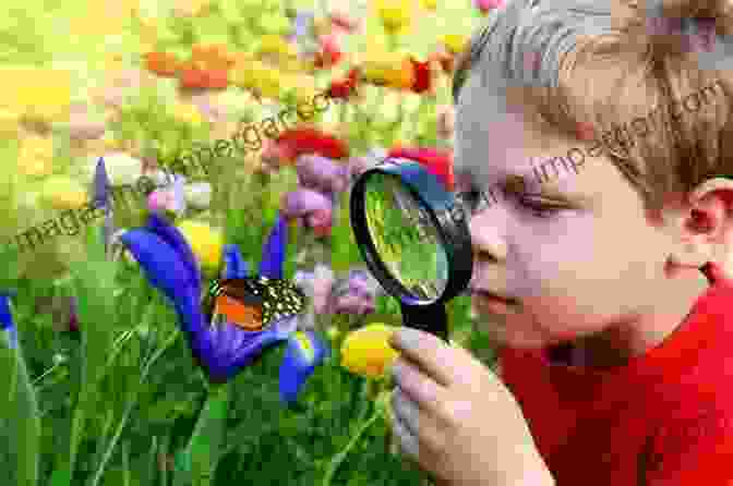 A Homeschooling Family Engaged In A Nature Study Activity, Observing Insects With Magnifying Glasses. The Brave Learner: Finding Everyday Magic In Homeschool Learning And Life