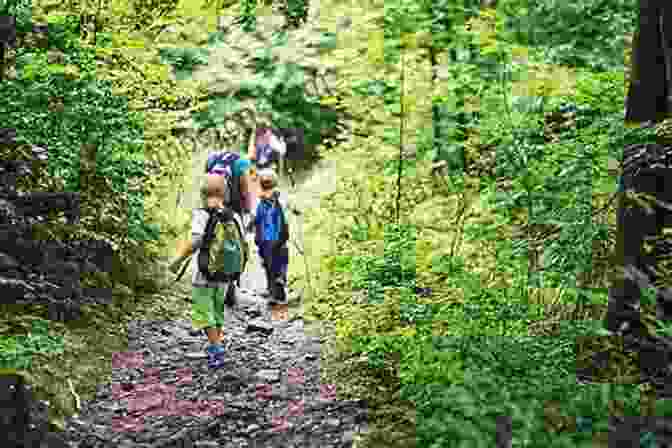 A Homeschooling Family Hiking In A Forest, Observing The Natural Surroundings And Engaging In Nature Study. The Brave Learner: Finding Everyday Magic In Homeschool Learning And Life