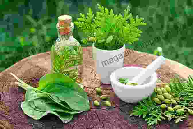 A Vibrant Array Of Medicinal Herbs HIGH BLOOD PRESSURE: TREATMENTS NATURAL REMEDIES WHAT TO EAT AND WHAT TO AVOID