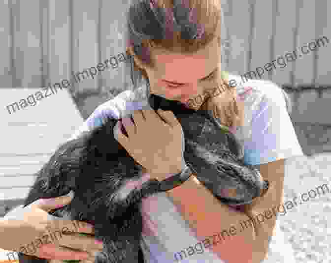 A Young Woman Embracing A Rescued Dog Where The Blind Horse Sings: Love And Healing At An Animal Sanctuary