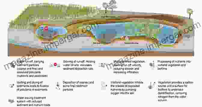 An Aerial View Of A Treatment Wetland System With Lush Vegetation And Clear Water Permaculture Guide To Reed Beds: Designing Building And Planting Your Treatment Wetland System