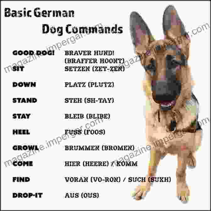 Basic Obedience Training For Military Dogs U S Military S Dog Training Handbook: Official Guide For Training Military Working Dogs