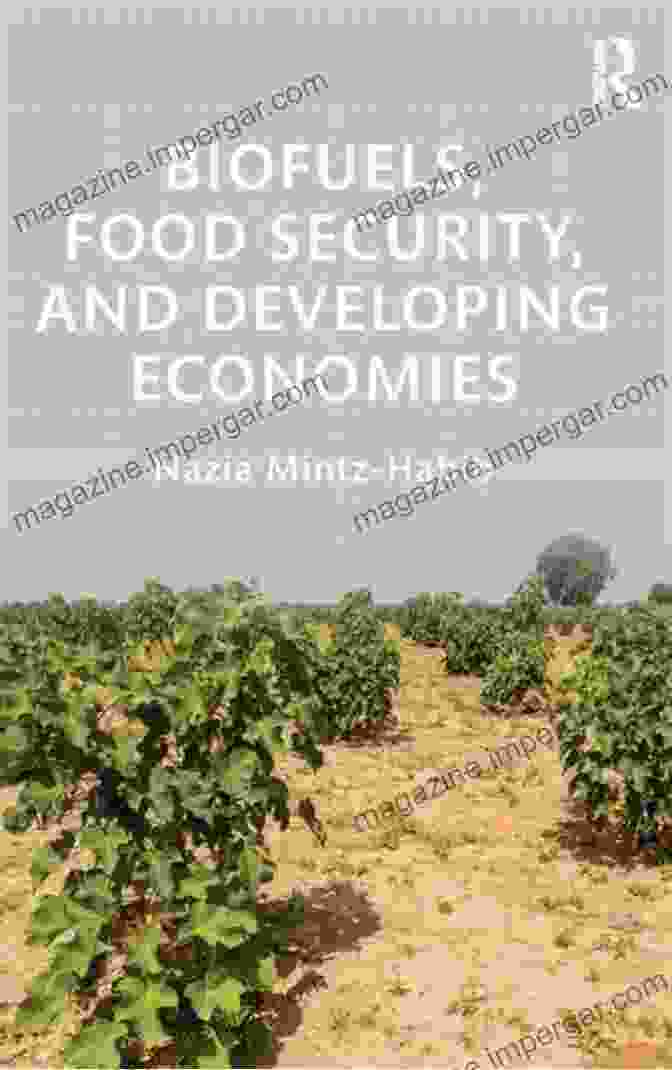 Biofuels, Food Security, And Developing Economies: A Comprehensive Guide Biofuels Food Security And Developing Economies (Routledge Studies In Bioenergy)