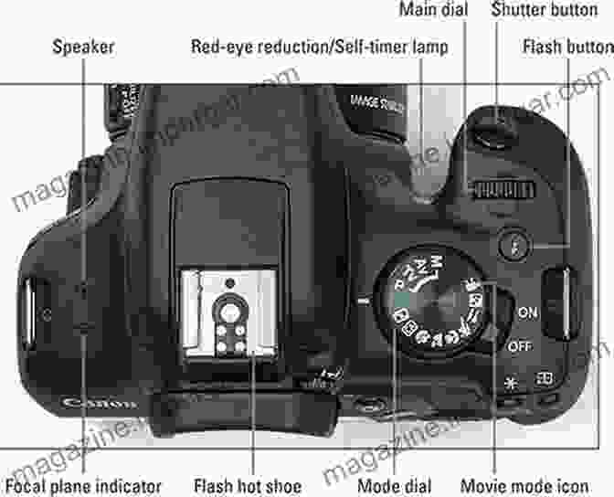 Canon EOS Rebel T7 2000D Camera Troubleshooting And Maintenance Canon EOS Rebel T7/2000D For Dummies