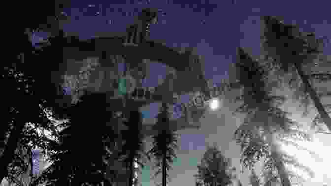 Computer Generated Image Of A Sleek, Metallic Alien Spaceship Hovering Over A Forest At Night. The Alien Abduction Files: The Most Startling Cases Of Human Alien Contact Ever Reported