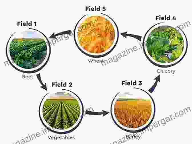 Crop Rotation Improves Soil Fertility And Controls Pests Advances In Conservation Agriculture Volume 2: Practice And Benefits (Burleigh Dodds In Agricultural Science 62)