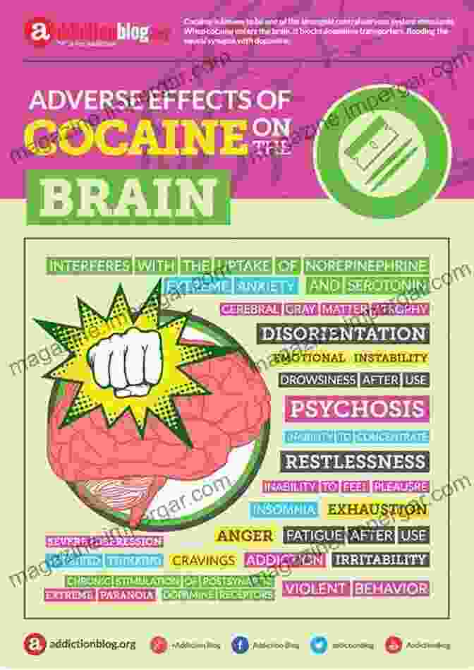 Image Showing The Effects Of Cocaine Use On The Brain Cocaine Use DisFree Download