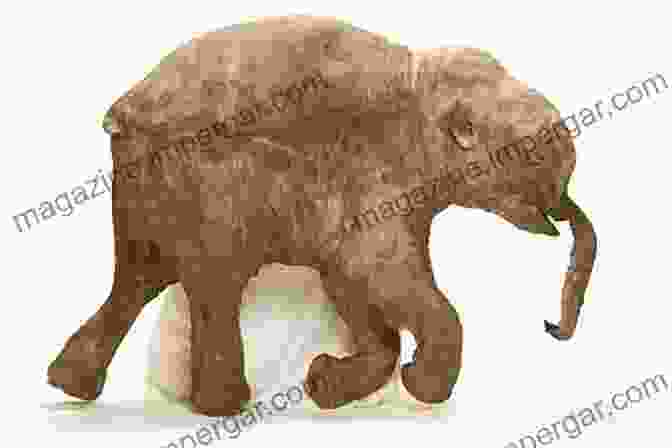 Mammoth 396 A Colossal Frozen Specimen, Providing Invaluable Insights Into The Life And Times Of Extinct Mammoths The Mammoth Of Predators (Mammoth 396)