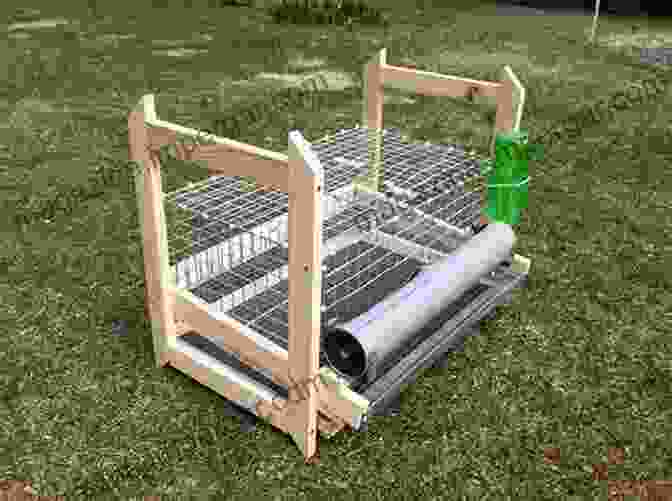 Plastic Quail Cage Urban Quail Keeping