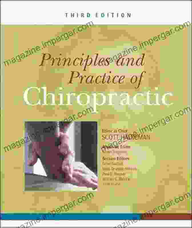 Principles And Practice Of Chiropractic Third Edition Book Cover Principles And Practice Of Chiropractic Third Edition