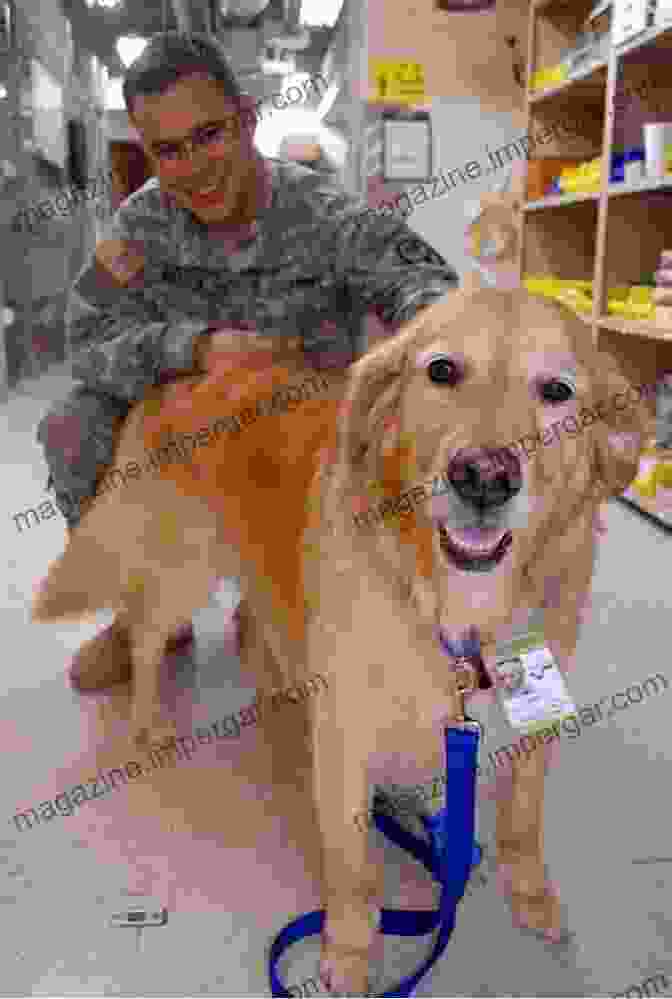 The Human Animal Bond In Military Dog Training U S Military S Dog Training Handbook: Official Guide For Training Military Working Dogs