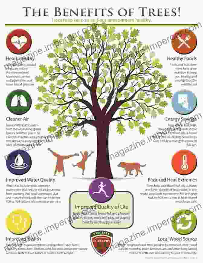 The Human Dimensions Of Forest And Tree Health Book Cover Featuring Lush Greenery And People Interacting With Trees The Human Dimensions Of Forest And Tree Health: Global Perspectives