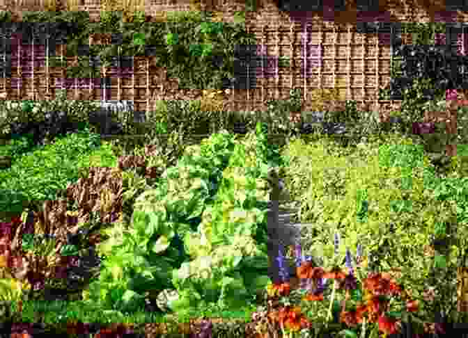 Vibrant Cold Frame Garden With Lush Vegetables And Flowers COLD FRAMES BUILDING FOR BEGINNERS: The Picture Step By Step Guide On Building And Construction Of Cold Frame Including Cold Frame Design For Houses And Gardens