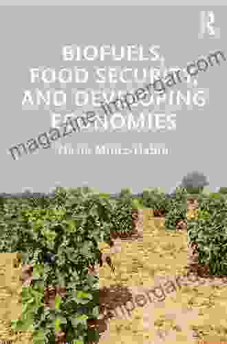 Biofuels Food Security And Developing Economies (Routledge Studies In Bioenergy)