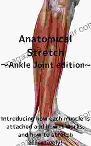 Anatomical Stretch Ankle Joint Edition : Introducing How Each Muscle Is Attached And How It Works And How To Stretch Effectively