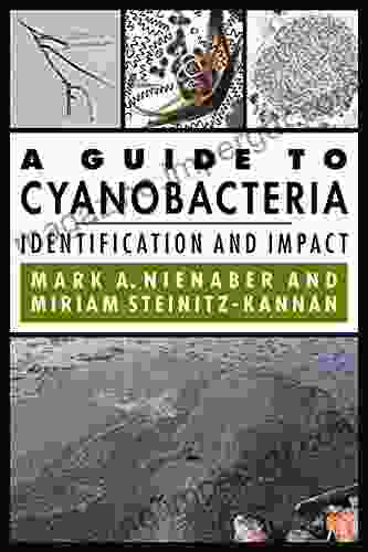 A Guide To Cyanobacteria: Identification And Impact