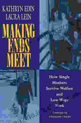 Making Ends Meet: How Single Mothers Survive Welfare And Low Wage Work (European Studies)