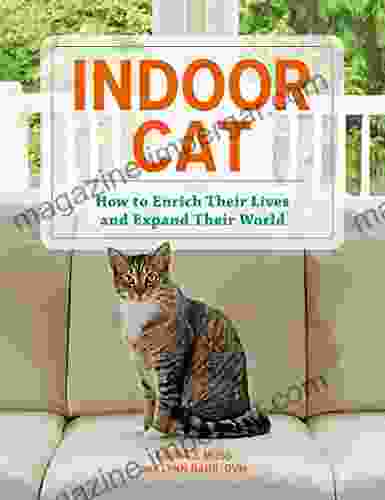 Indoor Cat: How To Enrich Their Lives And Expand Their World