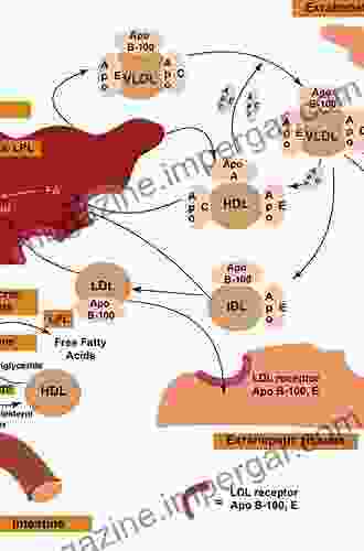 Lipid Transfer In Lipoprotein Metabolism And Cardiovascular Disease (Advances In Experimental Medicine And Biology 1276)