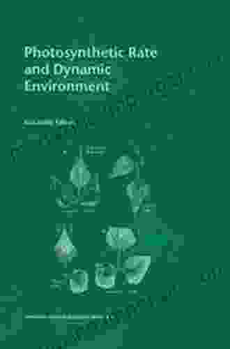 Photosynthetic Rate And Dynamic Environment