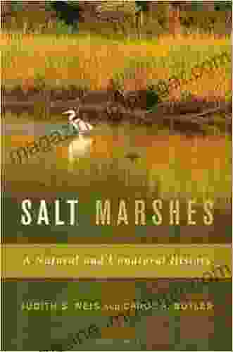 Salt Marshes: A Natural And Unnatural History