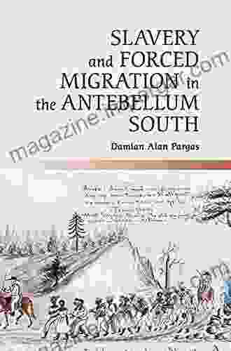 Slavery and Forced Migration in the Antebellum South (Cambridge Studies on the American South)