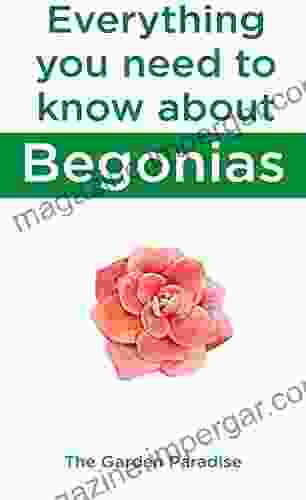 Everything You Need To Know About Begonias: A Guide To Grow A Healthy Begonia