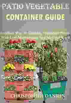 Patio Vegetable Containers Guide: Excellent Ways To Growing Vegetable Plants With Low Maintenance And Minimal Space