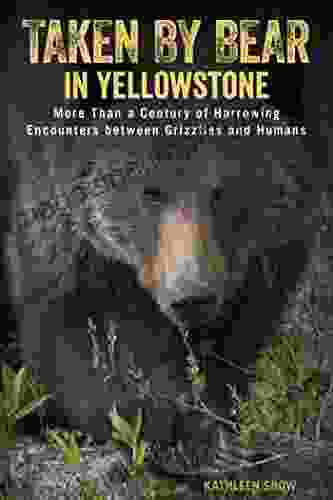 Taken By Bear In Yellowstone: A Century Of Harrowing Encounters Between Grizzlies And Humans