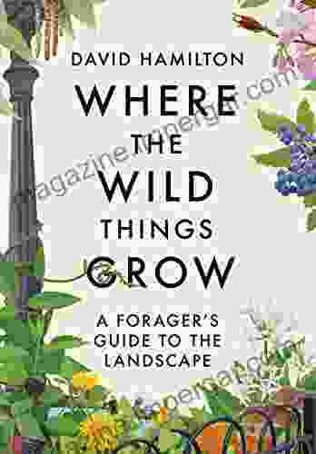 Where The Wild Things Grow: A Forager S Guide To The Landscape